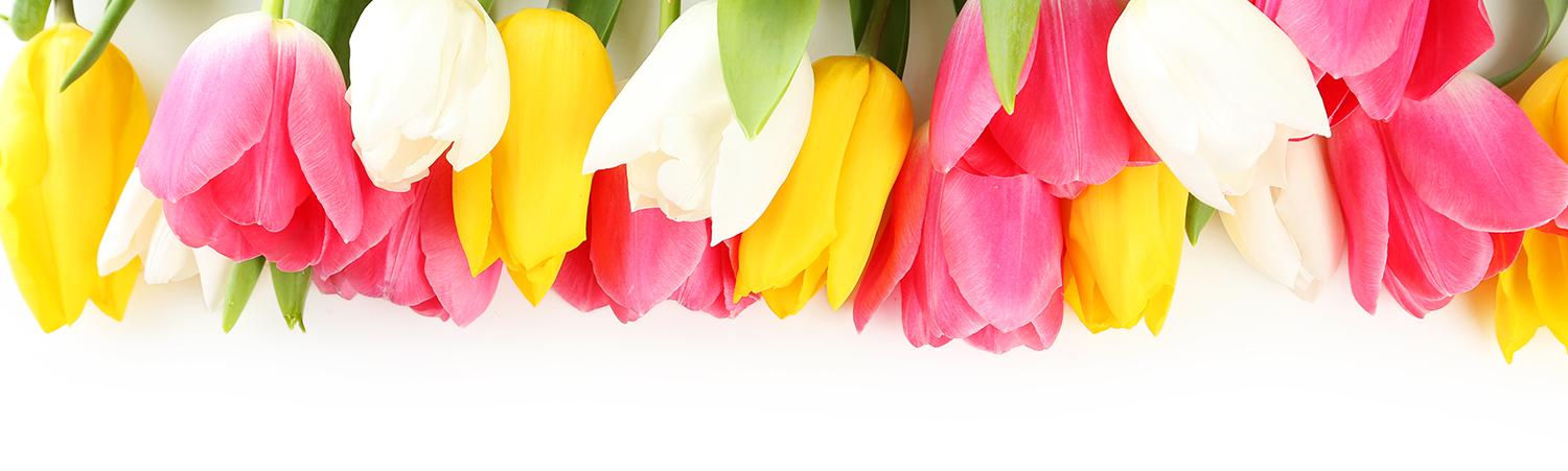 May Courses Banner